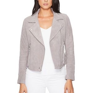 Blank NYC SL8 Genuine Leather Suede Moto Jacket (gray)